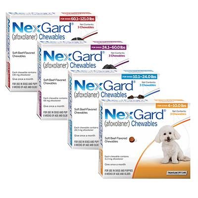 NexGard® Chewables pets animal pharmacy best price