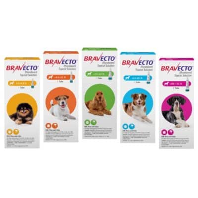 Bravecto-Topical-Solution-for-Dogs-MAIN