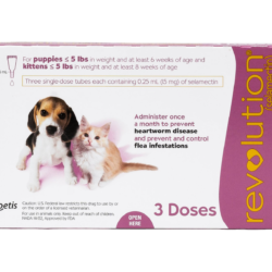 Revolution Topical Solution for Puppy & Kitten, under 5 lbs, 3 treatments (Mauve Box) FRONT