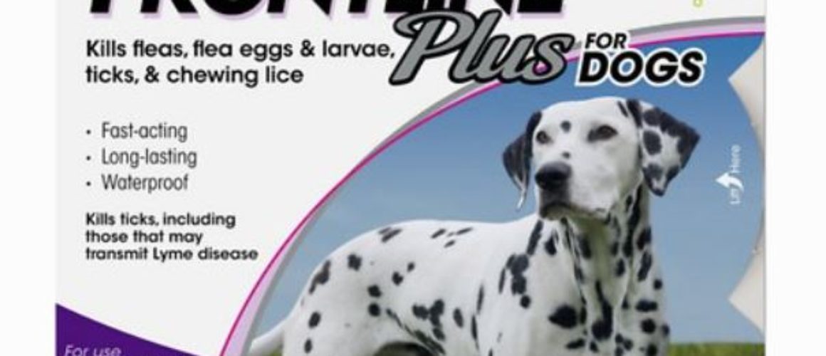 Frontline Plus Flea & Tick Large Breed Dog Treatment, 45 - 88 lbs 8pk