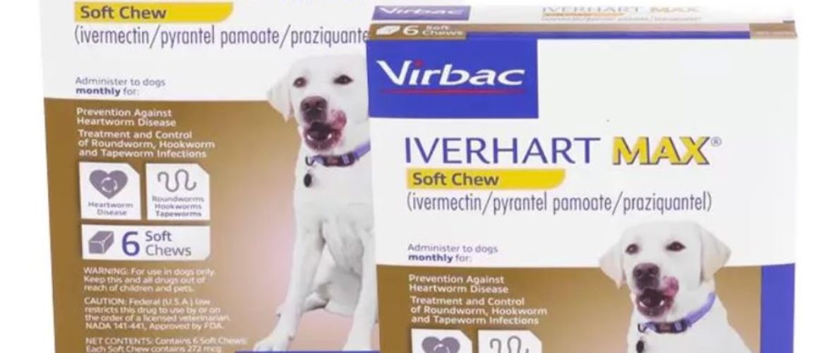 Iverhart Max Soft Chew 50.1-100 lbs, 12 treatment (Brown Box)