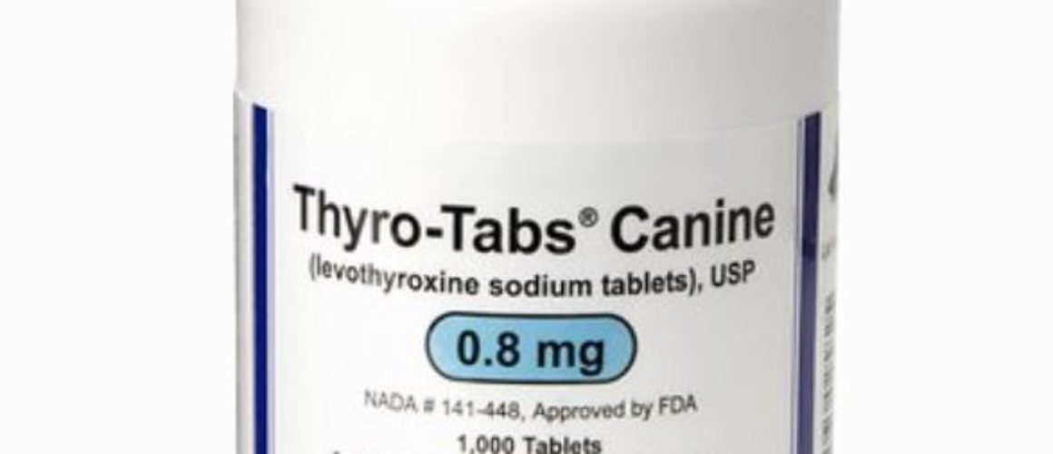 Thyro-Tabs (Levothyroxine Sodium) Tablets 0.8