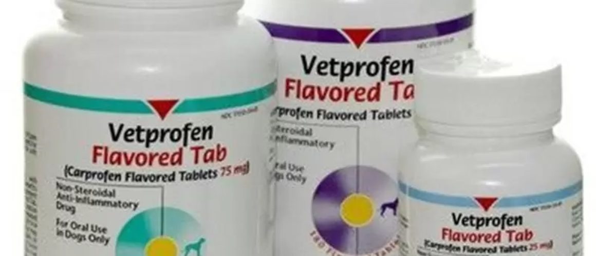 Vetprofen Flavored Tab main