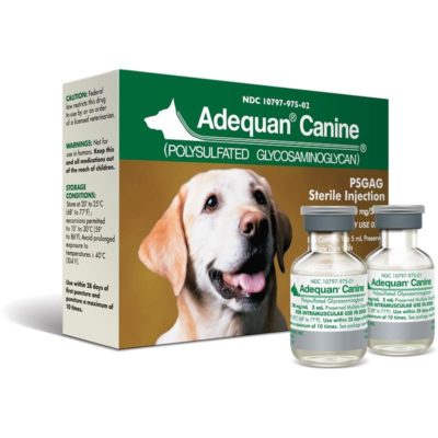 Adequan Canine 100mg-ml 5 ml Vial (1)