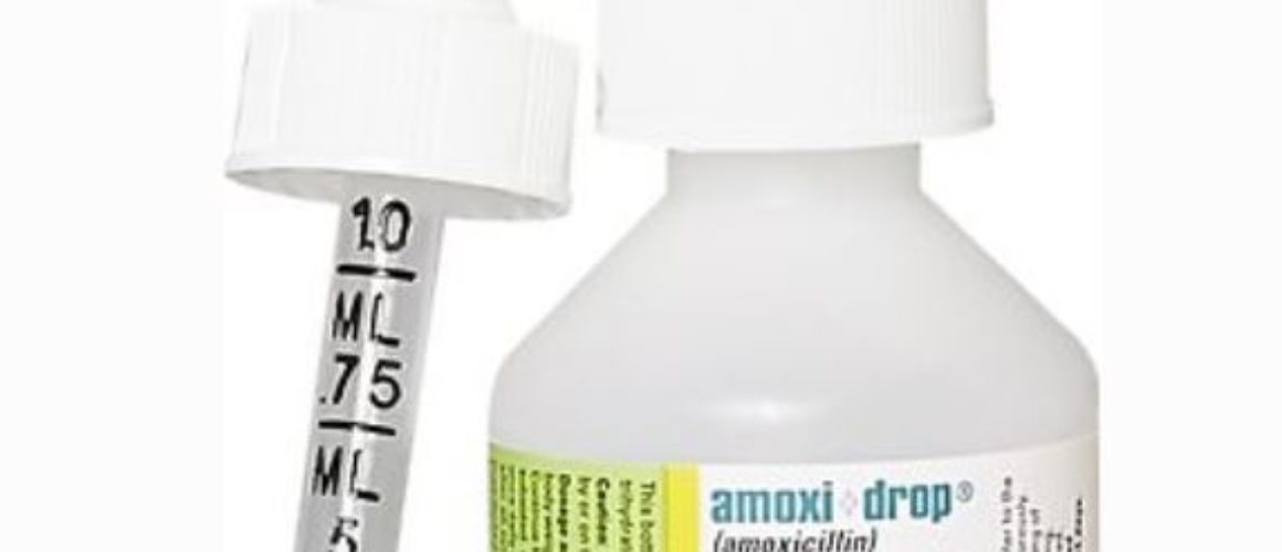 Amoxi-Drop (Amoxicillin) Oral Suspension for Dogs & Cats 15ml droper