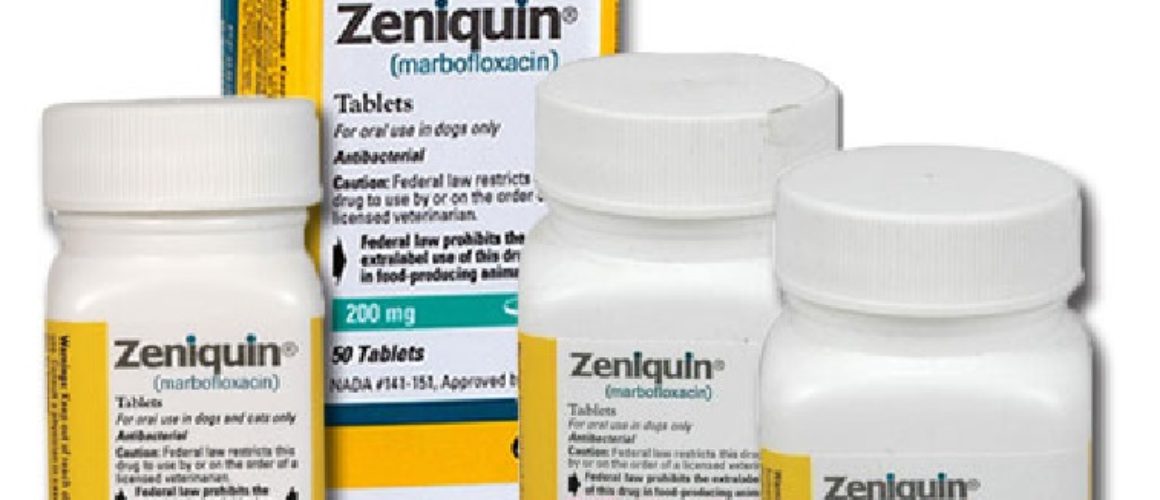 Zeniquin Tablets for Dogs & Cats By Zeniquin main