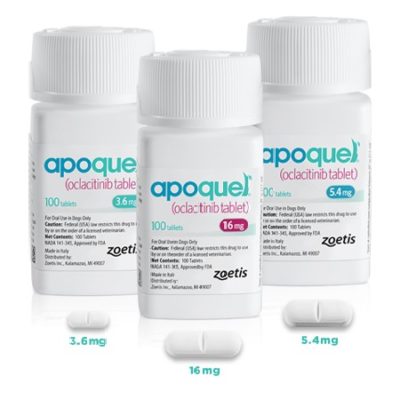 Apoquel-Tablets-for-Dogs-main