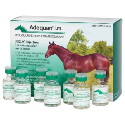 Adequan Equine Injection 100mg per ml Vial(s) (7Ct 5ml)