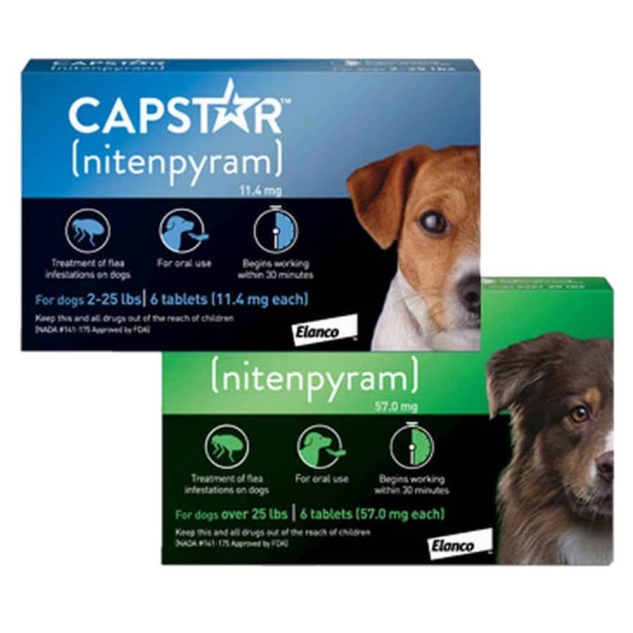 Capstar FOR DOGS