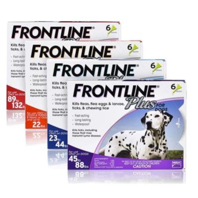 Frontline Plus Flea & Tick Small Breed Dog Treatment MAIN
