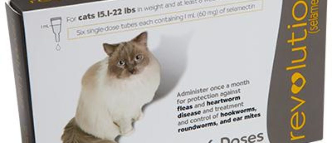 Revolution Feline 15.1 - 22lbs 6ct pack