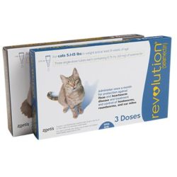 Revolution Feline Cats Pets Animal Medication Pharmacy Online.