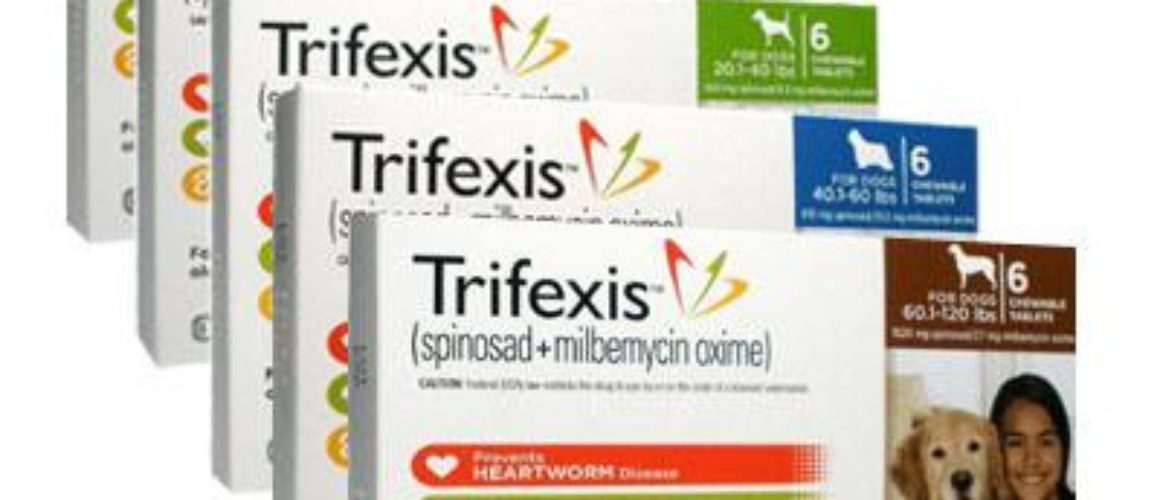 Trifexis® (spinosad + milbemycin oxime) for dogs best price