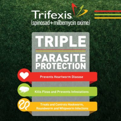 Trifexis Chewable Tablets for Dogs
