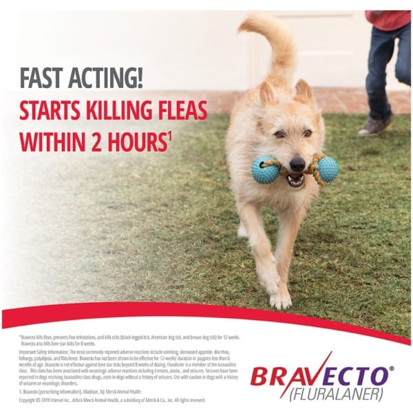 Bravecto Chews for Dogs (6)