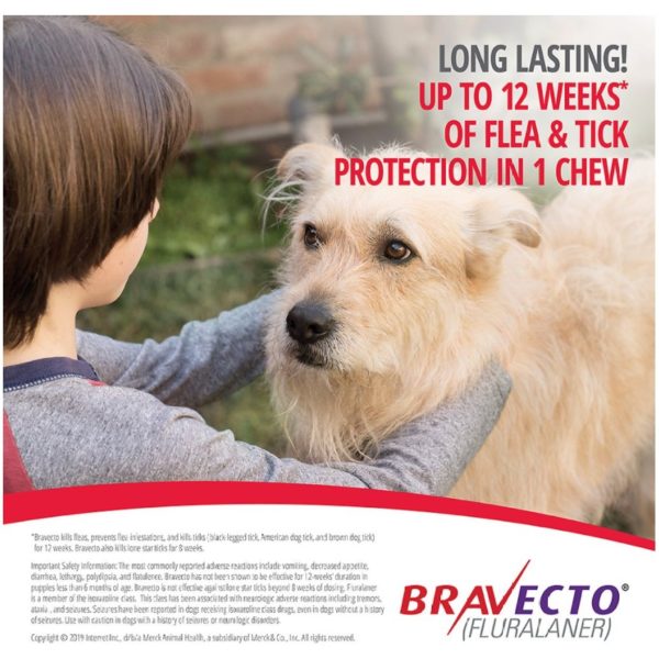 Bravecto Chews for Dogs (8)