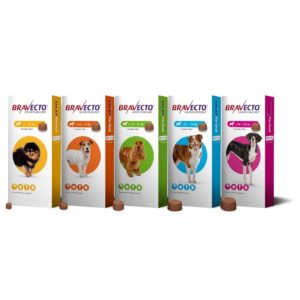 Bravecto-Chews-for-Dogs-All-Doses-Main