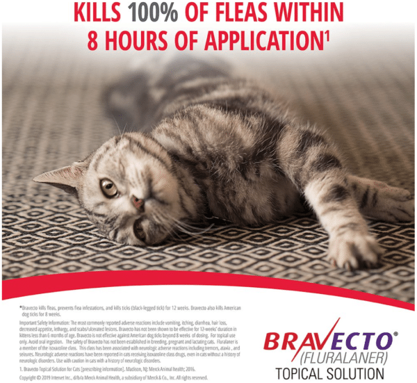 Bravecto Topical Solution for Cats,