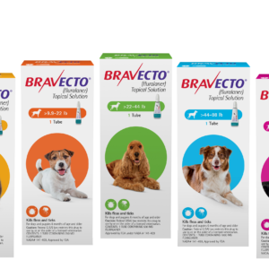 Bravecto Topical Solution for Dogs MAIN