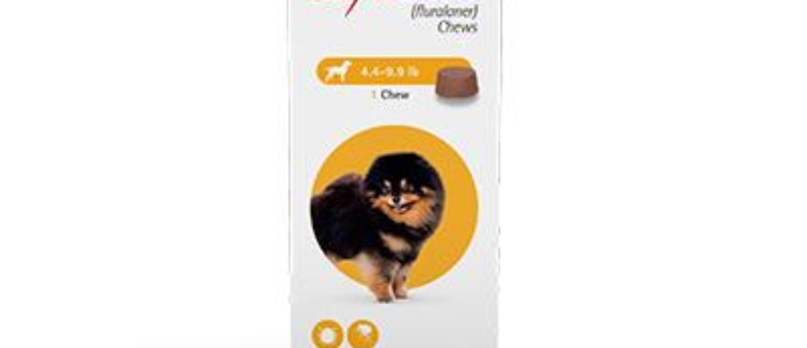 Bravecto® Chews for Dogs flea and tick medication