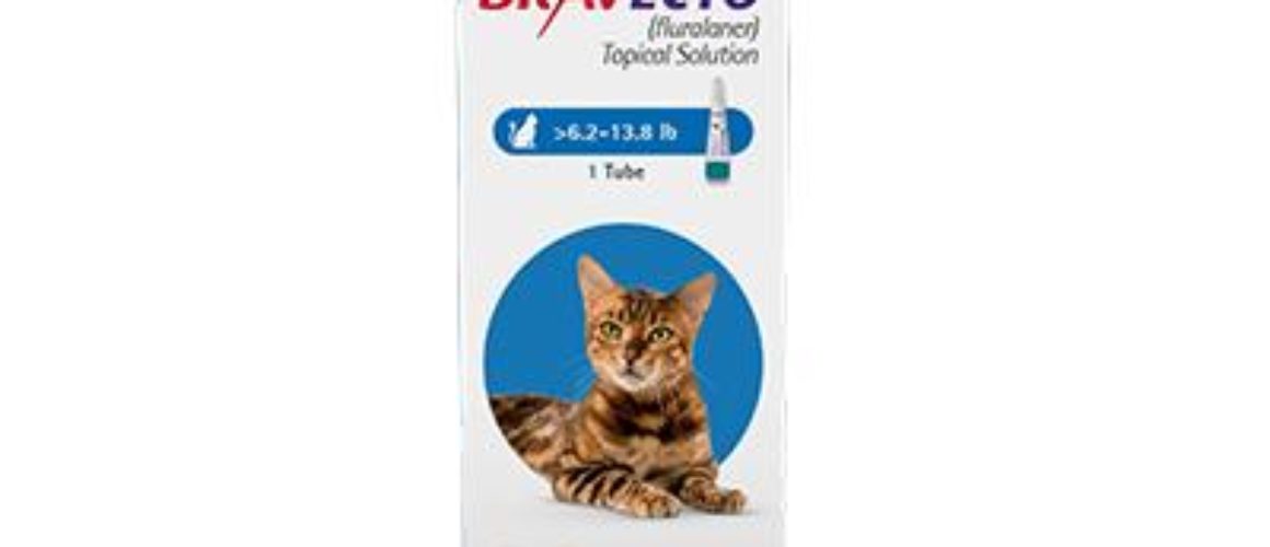 Bravecto® Topical for Cats flea and tick