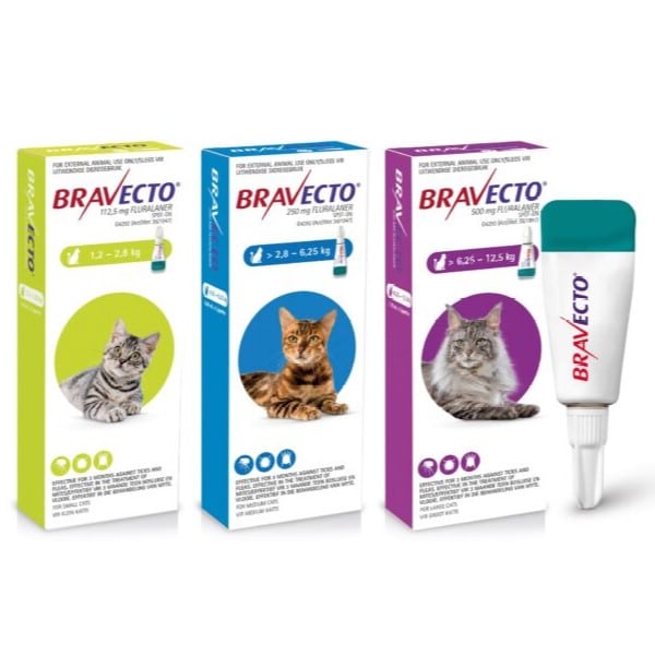 Bravecto Topical Solution for Cats MAIN