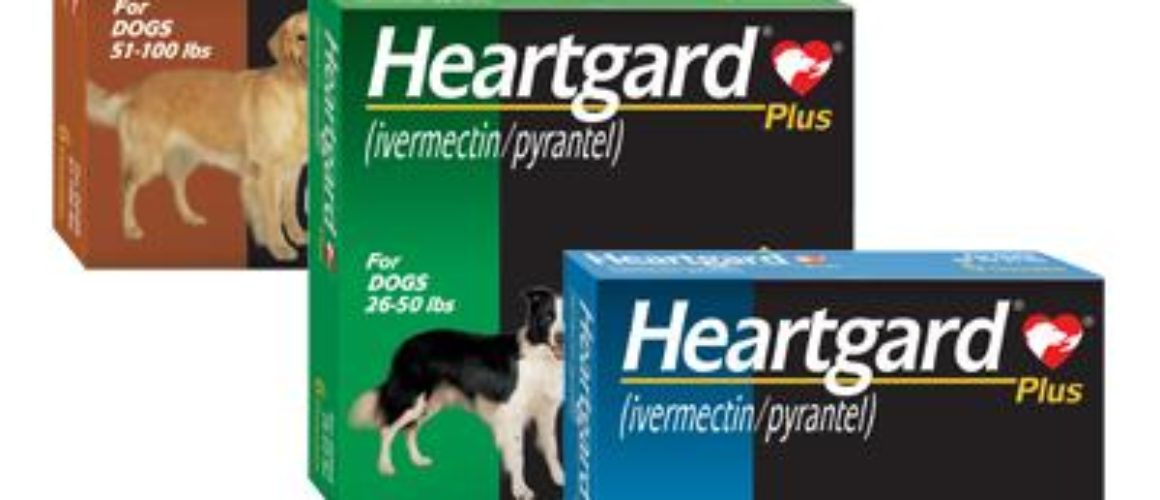HEARTGARD® Plus Chewables