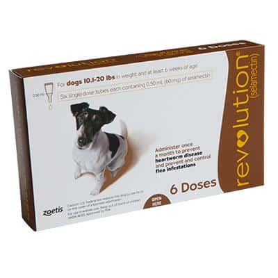Revolution-Topical-Solution-for-Dogs-10.1-20-lbs-Brown-Box-6-Ct-Picture