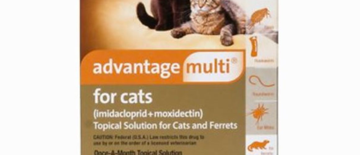 Advantage Multi Topical Solution for Cats, 5.1-9 lbs & Ferrets, 6 treatments (Orange Box)
