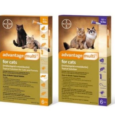 Advantage Multi Topical Solution for Cats main