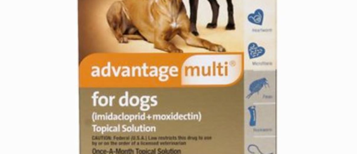 Advantage Multi Topical Solution for Dogs, 55.1-88 lbs, 6 treatments (Blue Box)