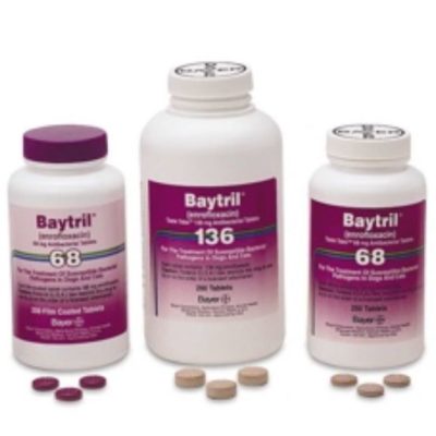 Baytril (Enrofloxacin) Taste Tabs for Dogs & Cats By Baytril main all tabs