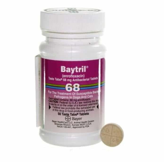 Baytril (Enrofloxacin) Taste Tabs for Dogs & Cats By Baytril tab 68mg tab COATED