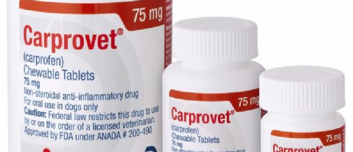 Carprovet (Carprofen) Flavored Tablets 75MG 30- 60-180 CT