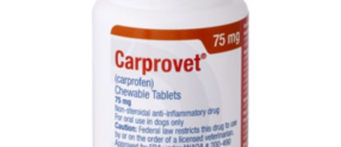 Carprovet (Carprofen) Flavored Tablets 75mg 30 CT