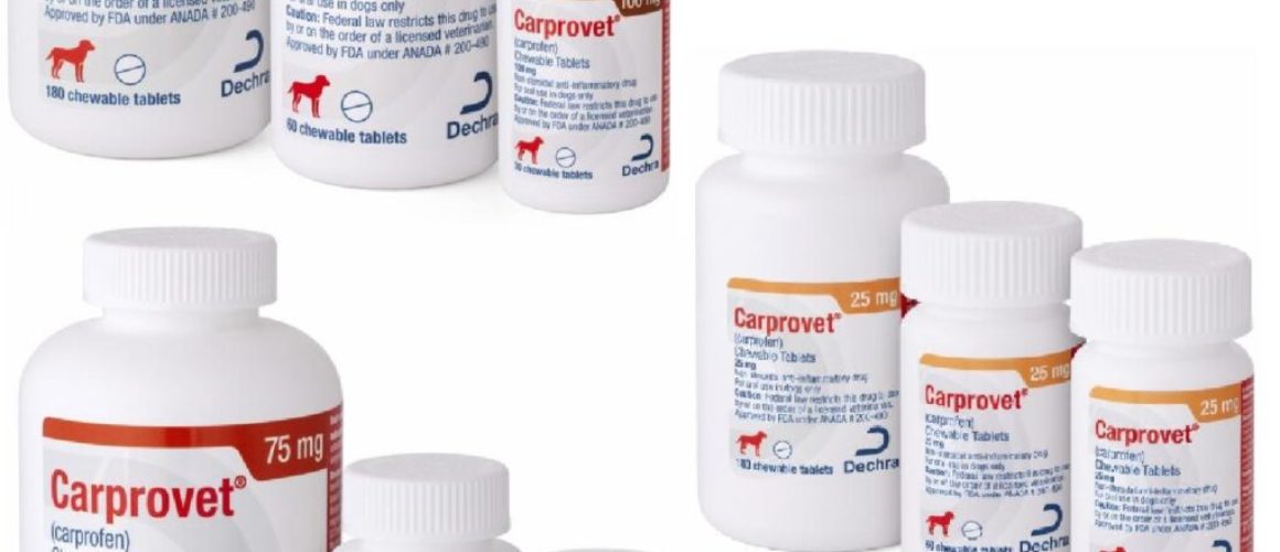 Carprovet (Carprofen) Flavored Tablets MAIN