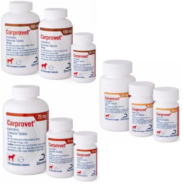 Carprovet (Carprofen) Flavored Tablets MAIN