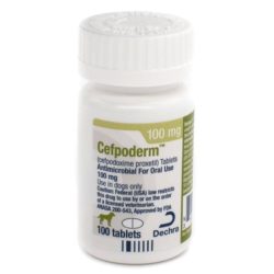 Cefpoderm (cefpodoxime) Tablets for Dogs