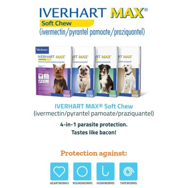 IVERHART-MAX-Soft-Chew