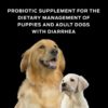 Purina Pro Plan Veterinary Diets FortiFlora Probiotic Gastrointestinal Support Dog Supplement