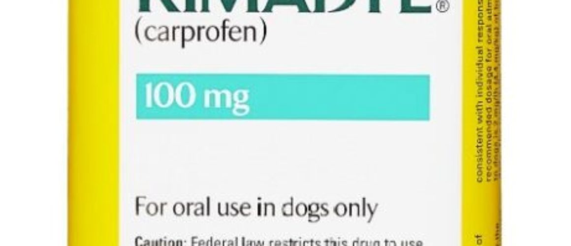 Rimadyl (Carprofen) Chewable Tablets for Dogs 100 mg