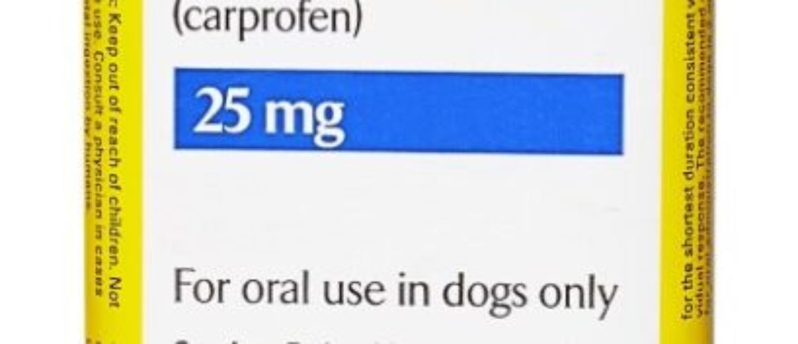 Rimadyl (Carprofen) Chewable Tablets for Dogs 25 mg