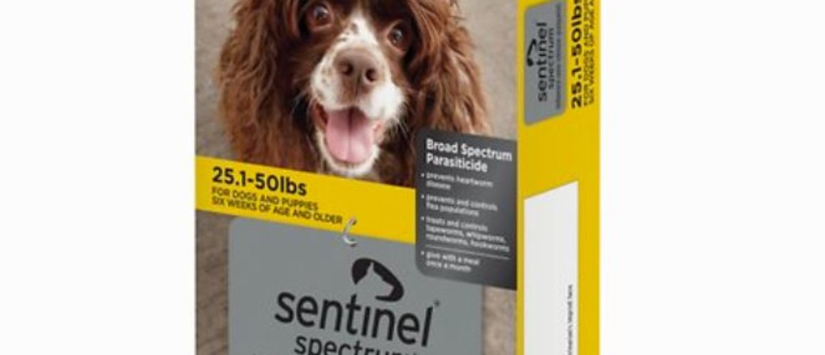 Sentinel Spectrum Chewable Tablets for Dogs, 25.1-50 lbs, 6 treatments (Yellow Box)