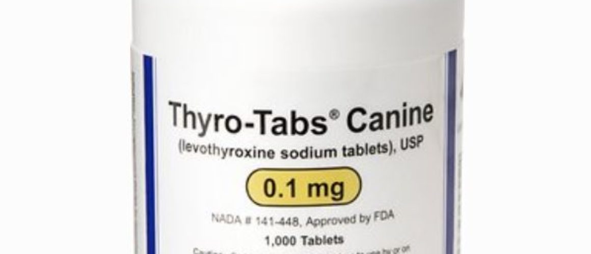 Thyro-Tabs (Levothyroxine Sodium) Tablets 0.1