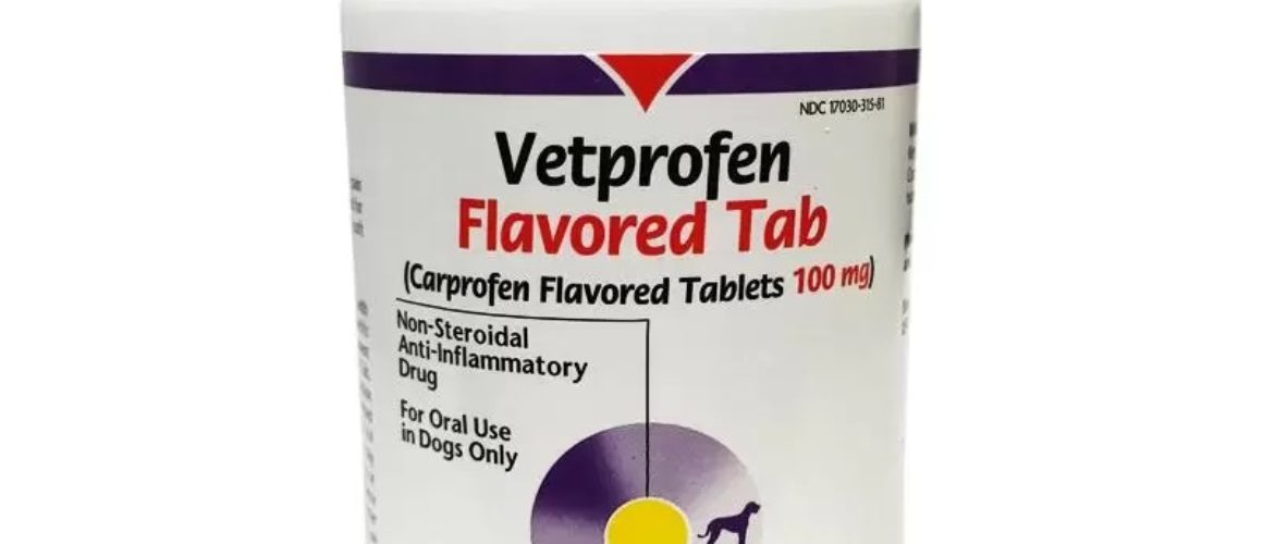 Vetprofen Flavored Tab 100 mg