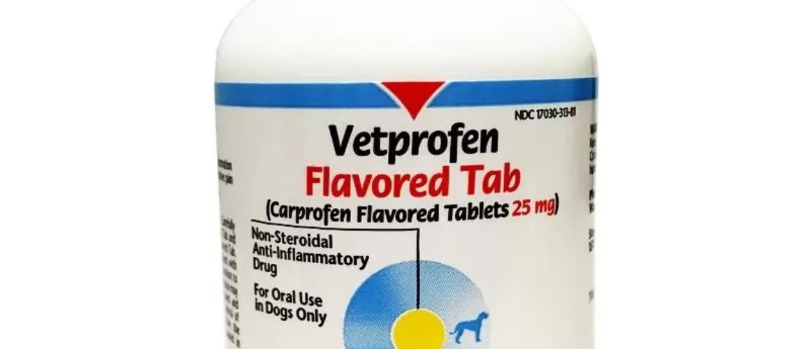 Vetprofen Flavored Tab 25 mg