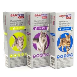 bravecto-plus-flea-heartworm-topical-solution-for-cats MAIN