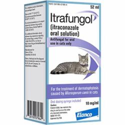 Itrafungol (itraconazole) Oral Solution
