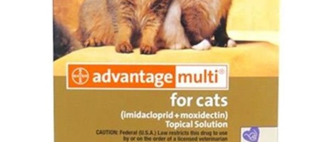 Advantage Multi Topical Solution for Cats, 9.1-18 lbs, (purple Box) 3 ct
