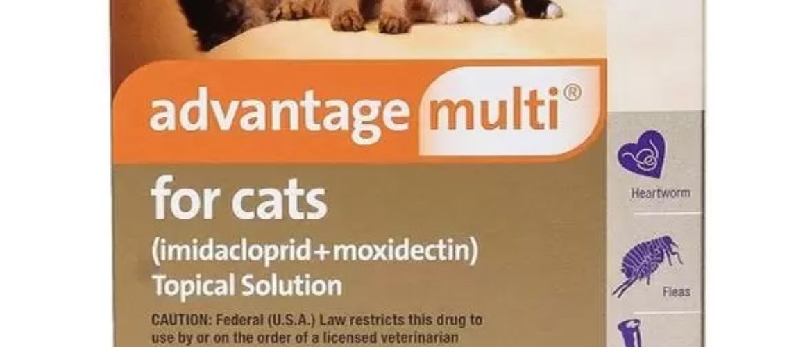 Advantage Multi Topical Solution for Cats, 9.1-18 lbs, (purple Box) 6 ct